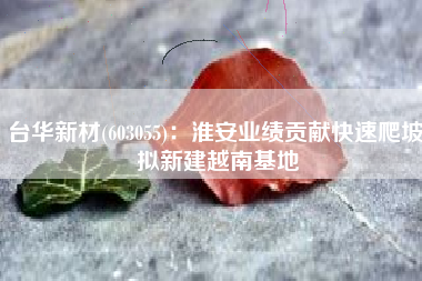 台华新材(603055)：淮安业绩贡献快速爬坡 拟新建越南基地