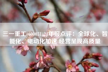 三一重工(600031)24年报点评：全球化、智能化、电动化加速 经营呈现高质量
