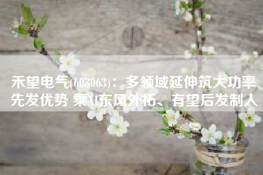 禾望电气(603063)：多领域延伸筑大功率先发优势 乘AI东风外拓、有望后发制人