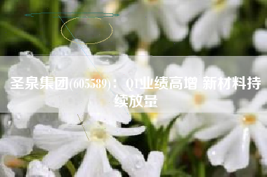圣泉集团(605589)：Q1业绩高增 新材料持续放量