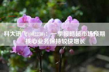科大讯飞(002230)：一季报略超市场预期 核心业务保持较快增长