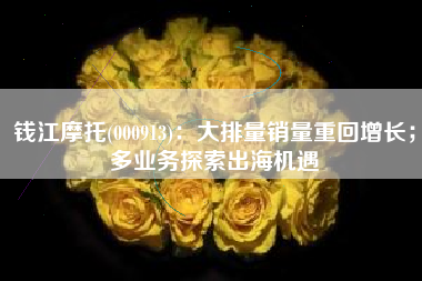 钱江摩托(000913)：大排量销量重回增长；多业务探索出海机遇