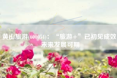 黄山旅游(600054)：“旅游+”已初见成效 未来发展可期