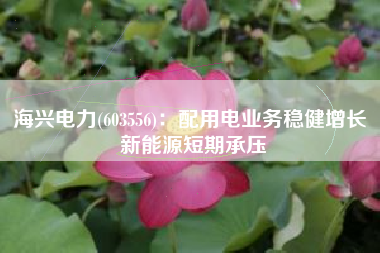 海兴电力(603556)：配用电业务稳健增长 新能源短期承压