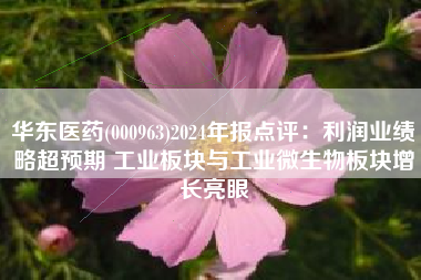 华东医药(000963)2024年报点评：利润业绩略超预期 工业板块与工业微生物板块增长亮眼