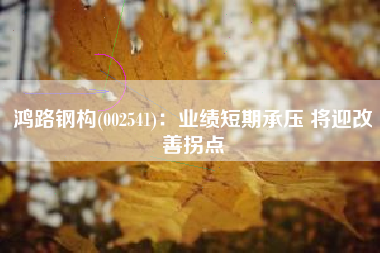 鸿路钢构(002541)：业绩短期承压 将迎改善拐点