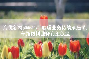 海优新材(688680)：胶膜业务持续承压 汽车新材料业务有望放量