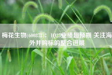 梅花生物(600873)：1Q25业绩超预期 关注海外并购标的整合进展
