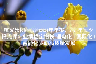 杭叉集团(603298)2024年年报、2025年一季报点评：业绩稳定增长 锂电化+国际化+智能化驱动高质量发展