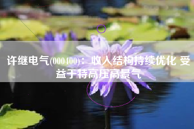 许继电气(000400)：收入结构持续优化 受益于特高压高景气