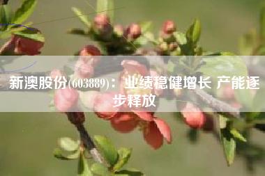 新澳股份(603889)：业绩稳健增长 产能逐步释放