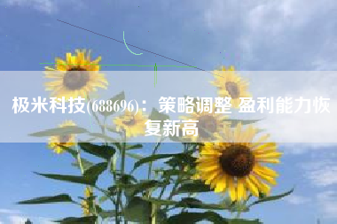 极米科技(688696)：策略调整 盈利能力恢复新高