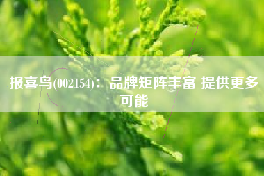 报喜鸟(002154)：品牌矩阵丰富 提供更多可能