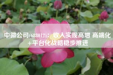 中微公司(688012)：收入实现高增 高端化+平台化战略稳步推进