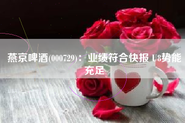 燕京啤酒(000729)：业绩符合快报 U8势能充足