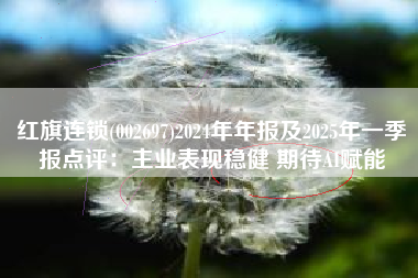 红旗连锁(002697)2024年年报及2025年一季报点评：主业表现稳健 期待AI赋能