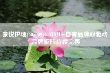 豪悦护理(605009)：ODM+自有品牌双驱动 品牌矩阵持续完善