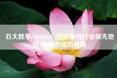 石大胜华(603026)：溶剂保持行业领先地位 电解液成功破局