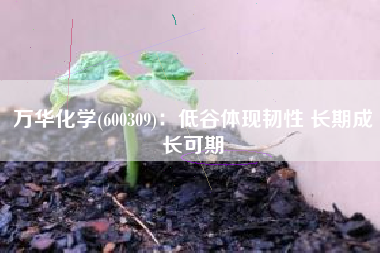万华化学(600309)：低谷体现韧性 长期成长可期