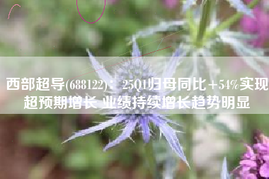 西部超导(688122)：25Q1归母同比+54%实现超预期增长 业绩持续增长趋势明显