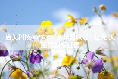 洁美科技(002859)：全年营收超18亿元 关注离型膜进展
