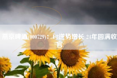 燕京啤酒(000729)：U8逆势增长 24年圆满收官
