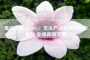 青达环保(688501)：龙头产品毛利率逆市提升 业绩高增可期