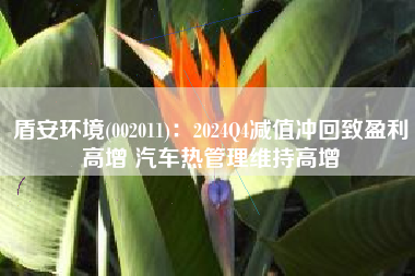 盾安环境(002011)：2024Q4减值冲回致盈利高增 汽车热管理维持高增
