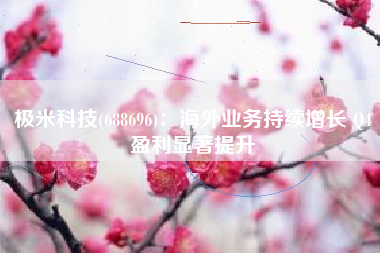 极米科技(688696)：海外业务持续增长 Q4盈利显著提升