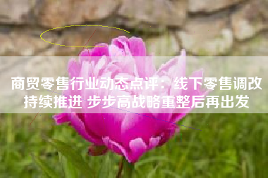 商贸零售行业动态点评：线下零售调改持续推进 步步高战略重整后再出发