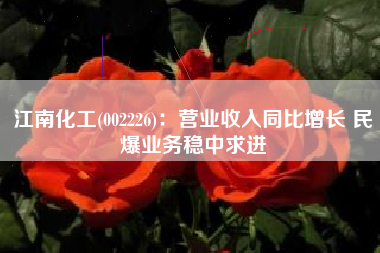 江南化工(002226)：营业收入同比增长 民爆业务稳中求进