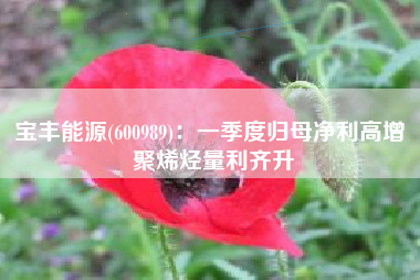 宝丰能源(600989)：一季度归母净利高增 聚烯烃量利齐升