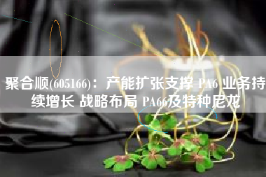 聚合顺(605166)：产能扩张支撑 PA6 业务持续增长 战略布局 PA66及特种尼龙