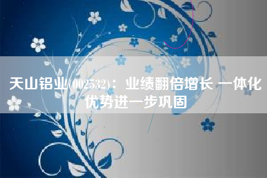 天山铝业(002532)：业绩翻倍增长 一体化优势进一步巩固
