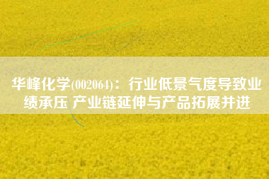 华峰化学(002064)：行业低景气度导致业绩承压 产业链延伸与产品拓展并进