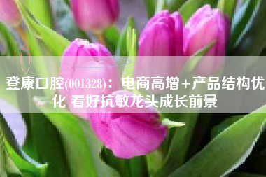 登康口腔(001328)：电商高增+产品结构优化 看好抗敏龙头成长前景