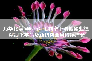万华化学(600309)：毛利率下滑拖累业绩 精细化学品及新材料业务持续增长
