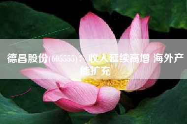 德昌股份(605555)：收入延续高增 海外产能扩充