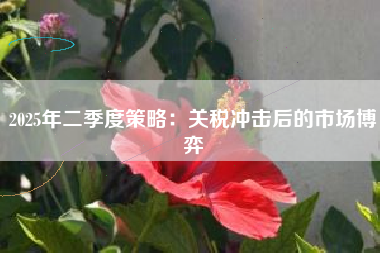 2025年二季度策略：关税冲击后的市场博弈