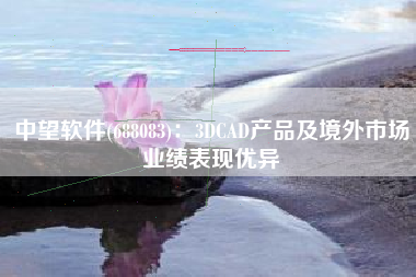 中望软件(688083)：3DCAD产品及境外市场业绩表现优异