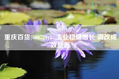 重庆百货(600729)：主业稳健增长 调改成效显著