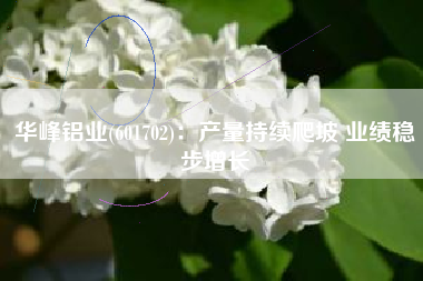 华峰铝业(601702)：产量持续爬坡 业绩稳步增长