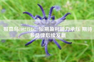 报喜鸟(002154)：短期盈利能力承压 期待多品牌后续发展