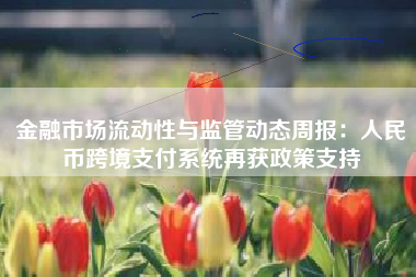 金融市场流动性与监管动态周报：人民币跨境支付系统再获政策支持