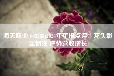 海天味业(603288)2024年年报点评：龙头彰显韧性 逆势营收增长