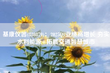 基康仪器(830879)：2025Q1业绩高增长 夯实水利能源+拓展交通智慧城市