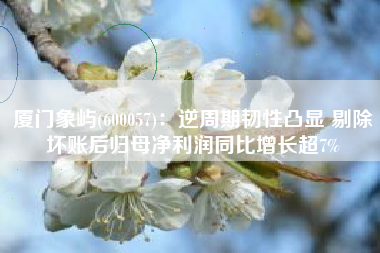 厦门象屿(600057)：逆周期韧性凸显 剔除坏账后归母净利润同比增长超7%
