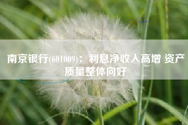 南京银行(601009)：利息净收入高增 资产质量整体向好