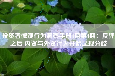 投资者微观行为洞察手册4月第4期：反弹之后 内资与外资行为开始显现分歧