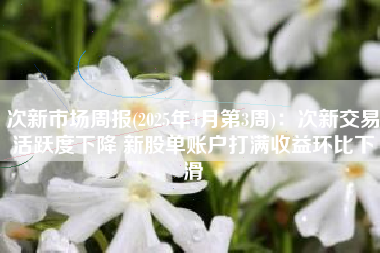 次新市场周报(2025年4月第3周)：次新交易活跃度下降 新股单账户打满收益环比下滑